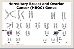 The BRCA I and II variants are found on chromosome 13 and 17